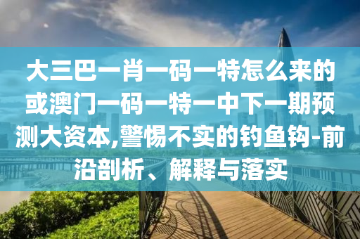 大三巴一肖一碼一特怎么來的或澳門一碼一特一中下一期預(yù)測大資本,警惕不實的釣魚鉤-前沿剖析、解釋與落實