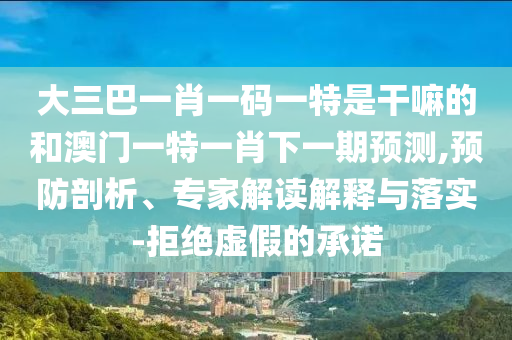 大三巴一肖一碼一特是干嘛的和澳門一特一肖下一期預測,預防剖析、專家解讀解釋與落實-拒絕虛假的承諾