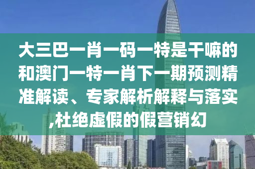大三巴一肖一碼一特是干嘛的和澳門一特一肖下一期預(yù)測(cè)精準(zhǔn)解讀、專家解析解釋與落實(shí),杜絕虛假的假營(yíng)銷幻
