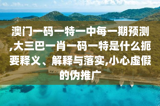 澳門一碼一特一中每一期預(yù)測,大三巴一肖一碼一特是什么扼要釋義、解釋與落實,小心虛假的偽推廣