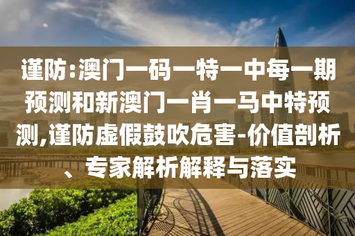 謹(jǐn)防:澳門一碼一特一中每一期預(yù)測和新澳門一肖一馬中特預(yù)測,謹(jǐn)防虛假鼓吹危害-價值剖析、專家解析解釋與落實