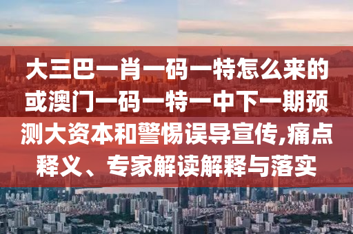 大三巴一肖一碼一特怎么來的或澳門一碼一特一中下一期預測大資本和警惕誤導宣傳,痛點釋義、專家解讀解釋與落實