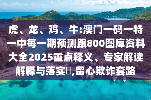 虎、龍、雞、牛:澳門一碼一特一中每一期預測跟800圖庫資料大全2025重點釋義、專家解讀解釋與落實?,留心欺詐套路