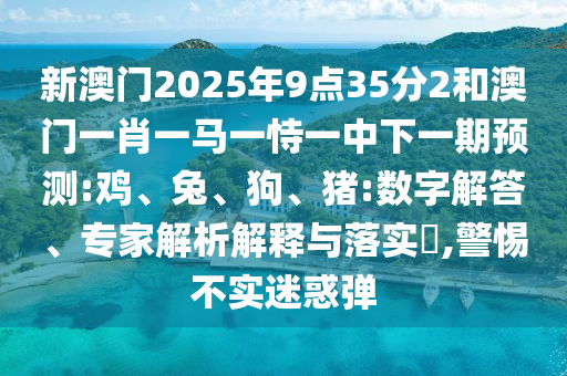 新澳門2025年9點35分2和澳門一肖一馬一恃一中下一期預(yù)測:雞、兔、狗、豬:數(shù)字解答、專家解析解釋與落實?,警惕不實迷惑彈