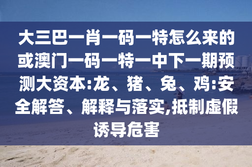 大三巴一肖一碼一特怎么來的或澳門一碼一特一中下一期預測大資本:龍、豬、兔、雞:安全解答、解釋與落實,抵制虛假誘導危害